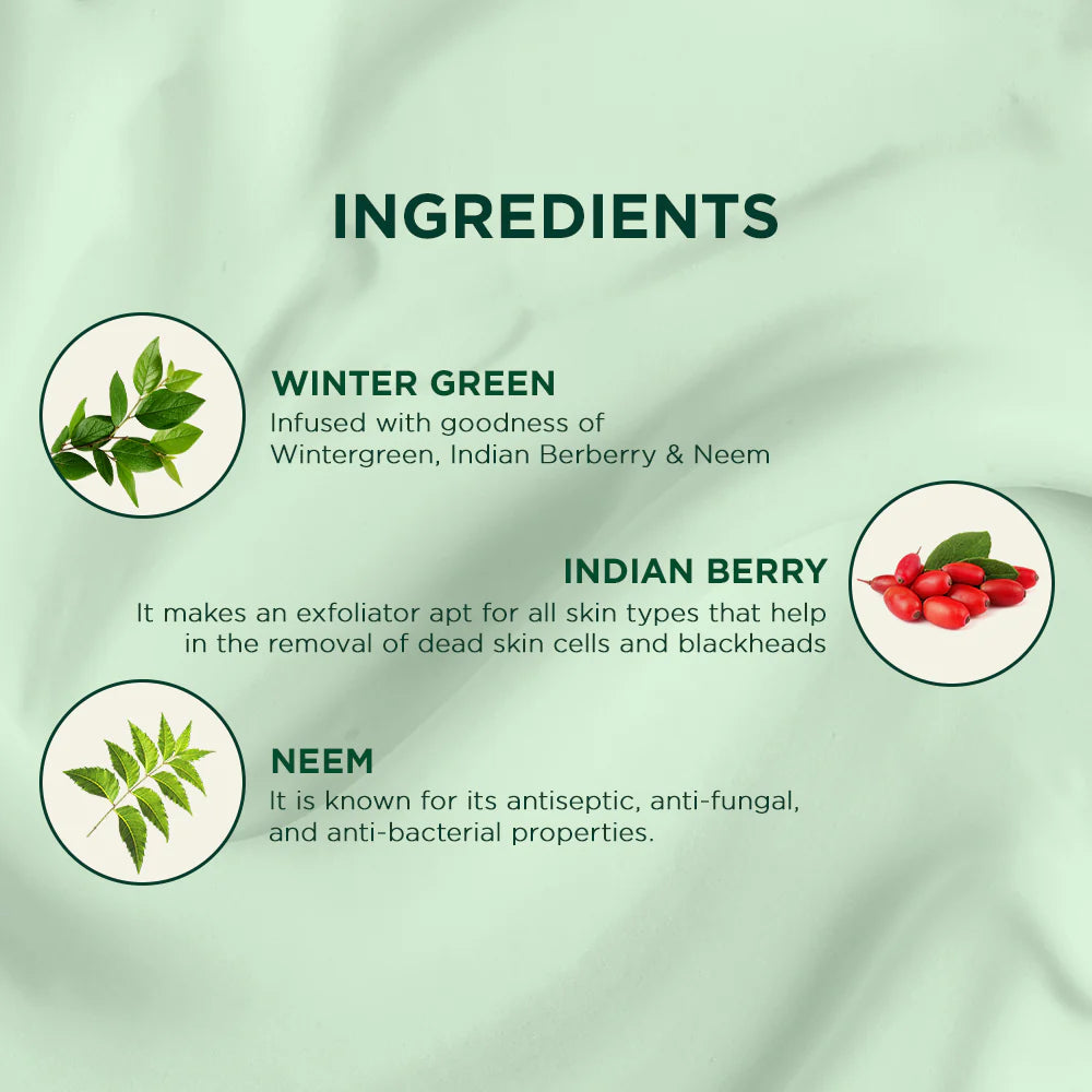 Biotique winter green acne control spot correction cream 15g